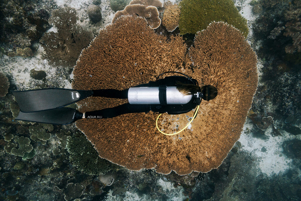 Aqua Expeditions scuba diving