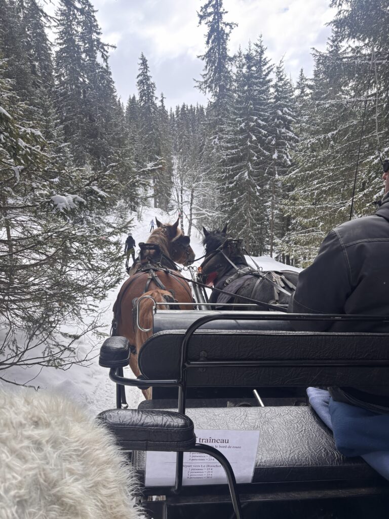 Horse drawn carriage skiing French Alps